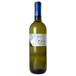 Vinhos da Itália - Branco