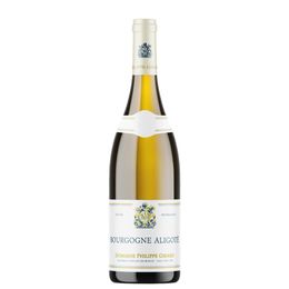 Vinhos da França - Branco