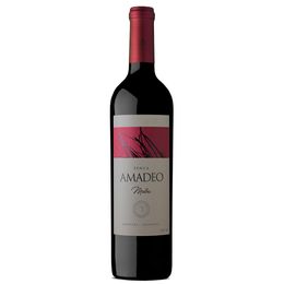 Vinhos da Argentina - Amadeo Maranõn - Tinto