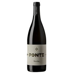 Vinhos do Alentejo - Branco