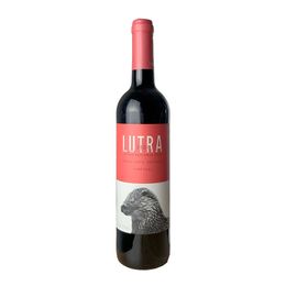 Vinhos do Tejo - Quinta da Alorena - Tinto