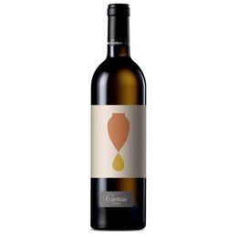 Vinhos do Alentejo - Branco