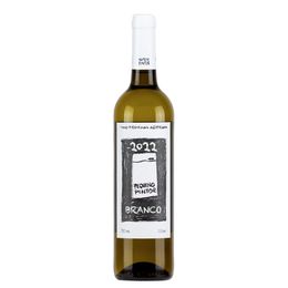 Vinhos do Alentejo - Branco