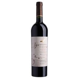 Vinhos do Chile - Millaman - Tinto